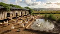 7 Ide Kandang Bebek dengan Area Kering dan Tempat Berendam, Bikin Kandang Tidak Becek