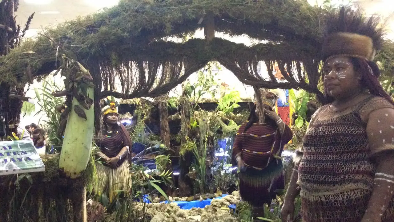 Hutan Anggrek Papua