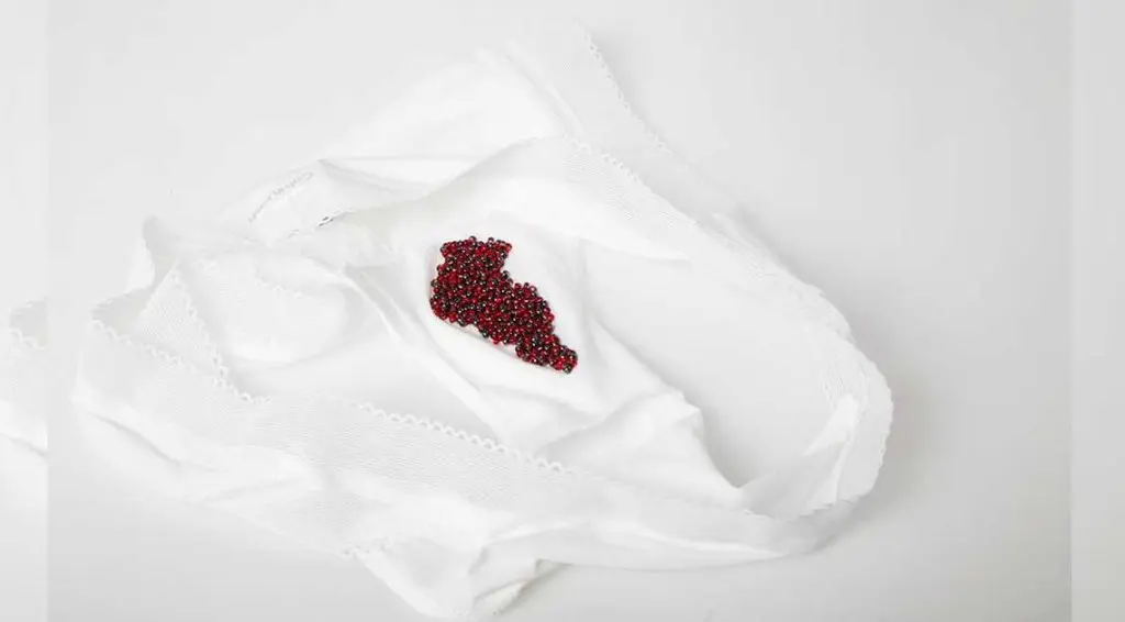 Darah Menstruasi Menginspirasi Perancang Ini untuk Buat Aksesori | via: .sleazemag.com