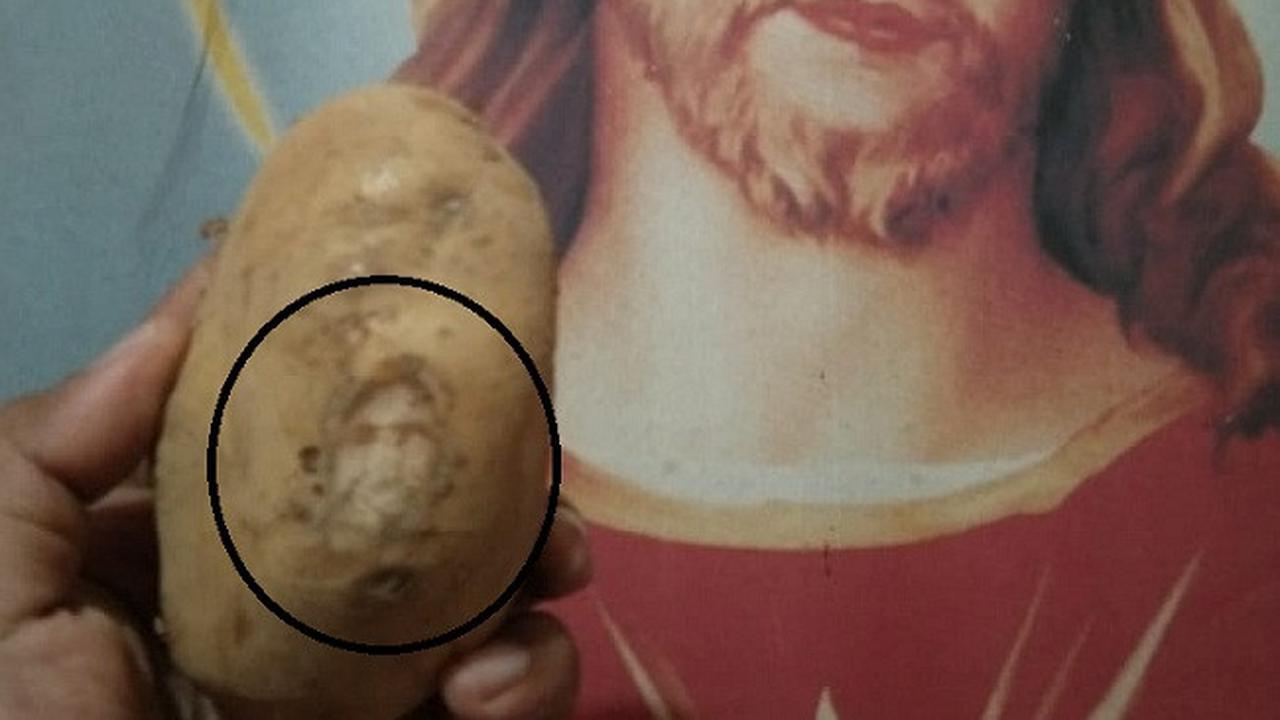 Kentang Bergambar Yesus
