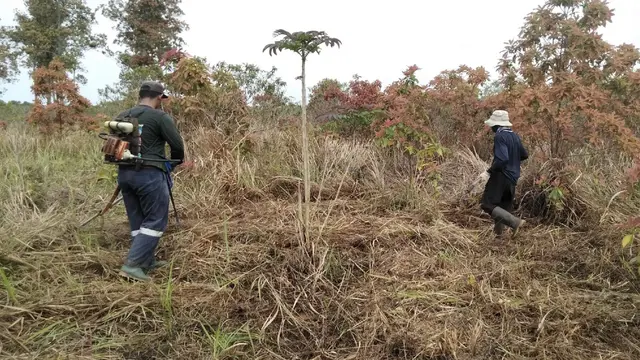 Taman Nasional Way Kambas Belum Mampu Lindungi Gajah Sumatera dari Para Pemburu Liar