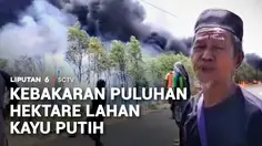 Kebakaran Puluhan Hektare Lahan Kayu Putih
