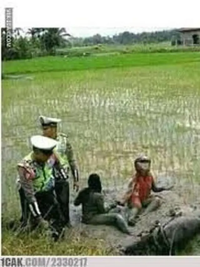 6 Potret Orang Naik Motor Nyungsep di Sawah Ini Apes Banget, Jadi Kasihan