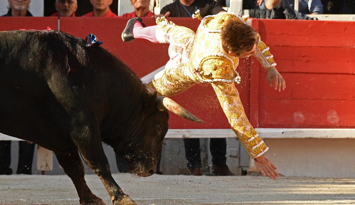 Seorang matador dari Prancis Andy Younes terpental saat ditanduk oleh banteng Spanyol Jandilla saat kompetis Feria du Riz di Arles, Prancis (4/1). Matador gagal menaklukan sang banteng. (AFP/Boris Horvat)