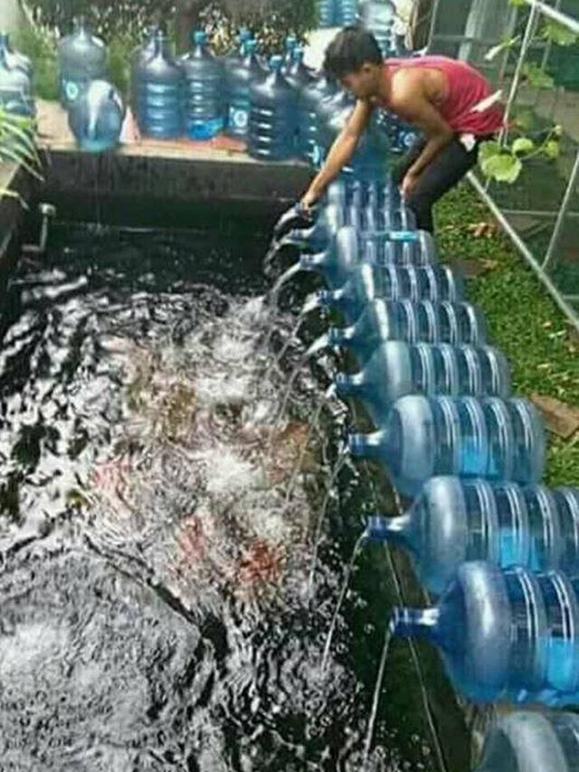 10 Potret Nyeleneh Orang Pelihara Ikan, Cara Kasih Makannya Bikin Geleng Kepala