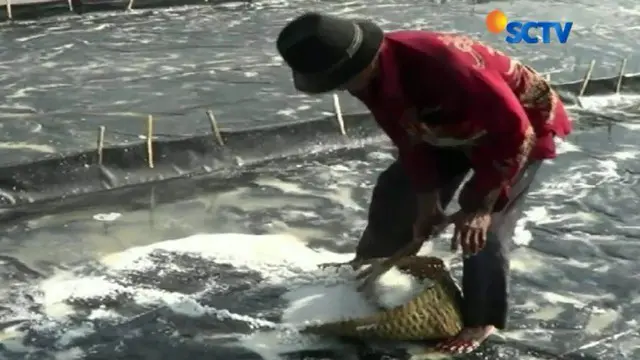 Meskipun masih ada kios ikan asin yang buka, dagangannya pun kini mulai sepi pembeli lantaran hargannya naik hingga empat kali lipat.