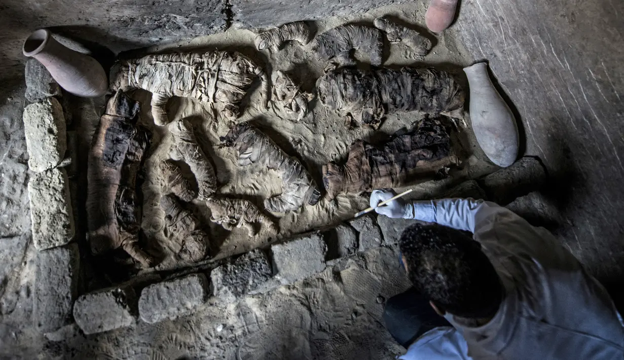 Seorang arkeolog Mesir membersihkan mumi kucing yang ditemukan di sekitar kompleks piramida Raja Userkaf di Saqqara, Giza, Sabtu (10/11). Puluhan mumi kucing dan koleksi langka mumi kumbang scarab telah ditemukan di tujuh sarkofagus. (KHALED DESOUKI/AFP)