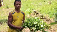 Ramli Sunggungi, salah satu Petani yang berhasil mengembangkan budidaya nilam di Bone Bolango, Provinsi Gorontalo (Arfandi Ibrahim/Liputan6.com)