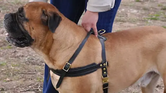 Ilustrasi (c) oddee.com