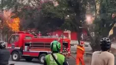 Kronologi Kabel Terbakar hingga Merambat ke Pohon di Cinere Depok