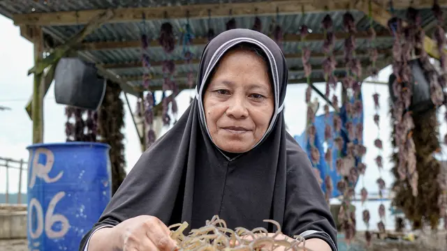Ibu Mariani, Petani Rumput Laut