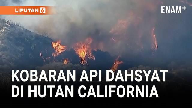 Kebakaran hutan besar bernama Canyon Fire terjadi di Ventura County, California, memaksa ribuan warga mengungsi. Dalam waktu kurang dari tiga jam, api meluas hingga lebih dari 4 km persegi dan belum bisa dikendalikan hingga sore hari.