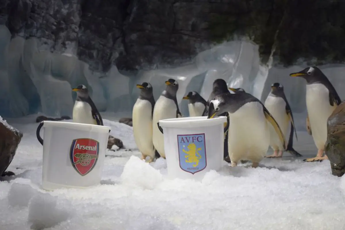 Penguin peramal jagokan Aston Villa di Final FA Cup (Mirror)