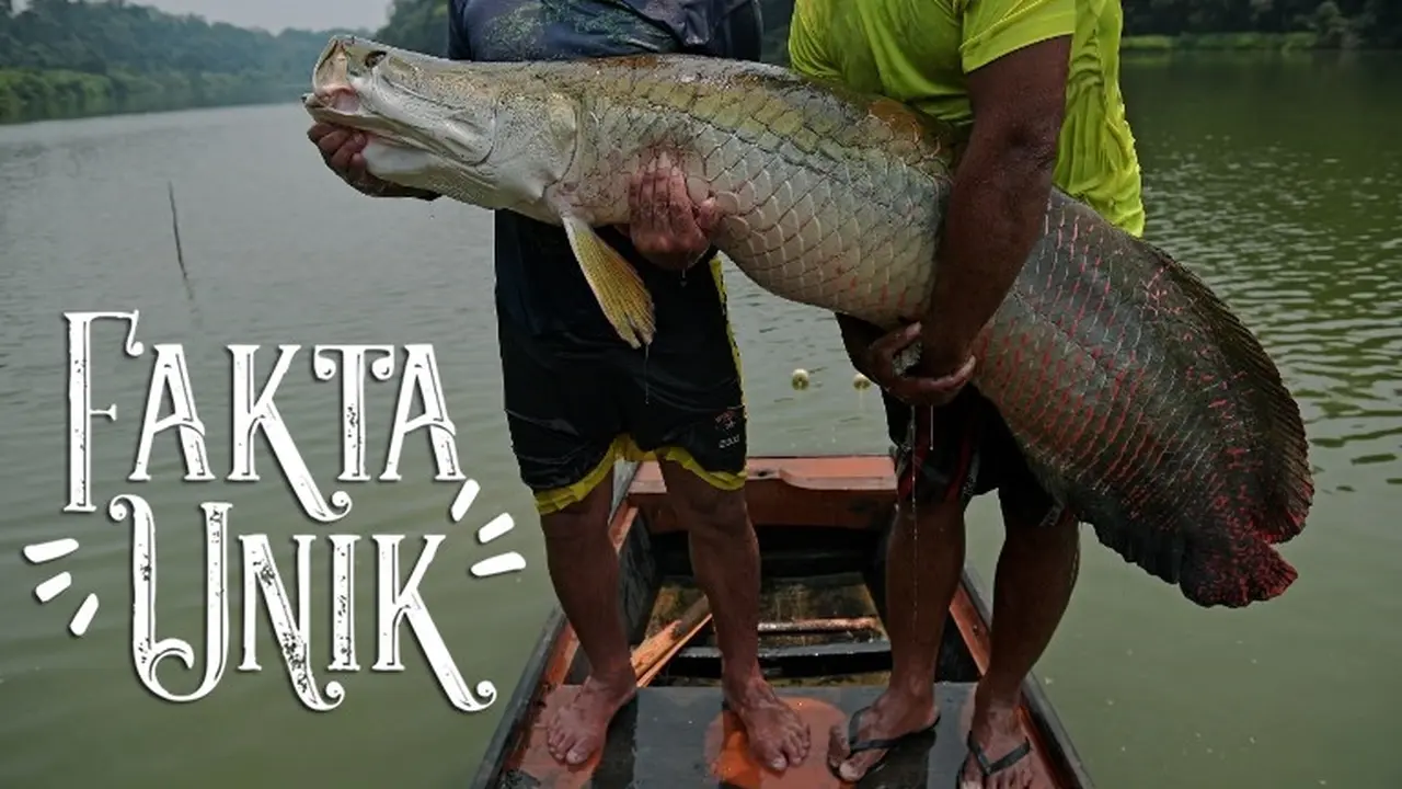 [Bintang] Fakta Unik
