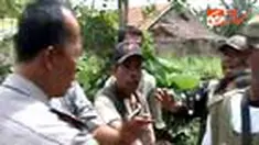 liputan6