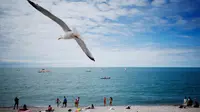 Seekor burung camar terbang di atas para pengunjung pantai di Etretat, Prancis barat laut (17/7). Kota ini merupakan kota wisata dan pertanian yang terletak sejauh 32 km (20 mi) dari Le Havre. (AFP Photo/Charly Triballeau)