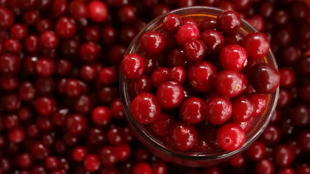 Cranberry