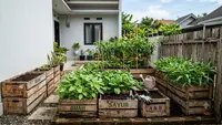 6 Desain Kebun Sayur dari Peti Buah Bekas yang Bikin Halaman Rumah Makin Produktif