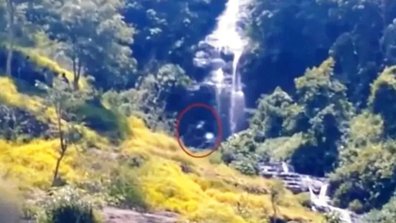 Video Bigfoot Berjalan di Air Terjun Hutan Belantara Indonesia?