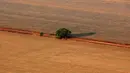 Pantauan dari foto udara sebuah pohon terlihat berdiri di atas lahan yang disiapkan untuk penanaman kedelai, Negara Mato Grosso di barat Brasil, Minggu (4/10). Brasil akan menghasilkan rekor 97.800.000 ton kedelai di 2015-2016.  (REUTERS/Paulo Whitaker)
