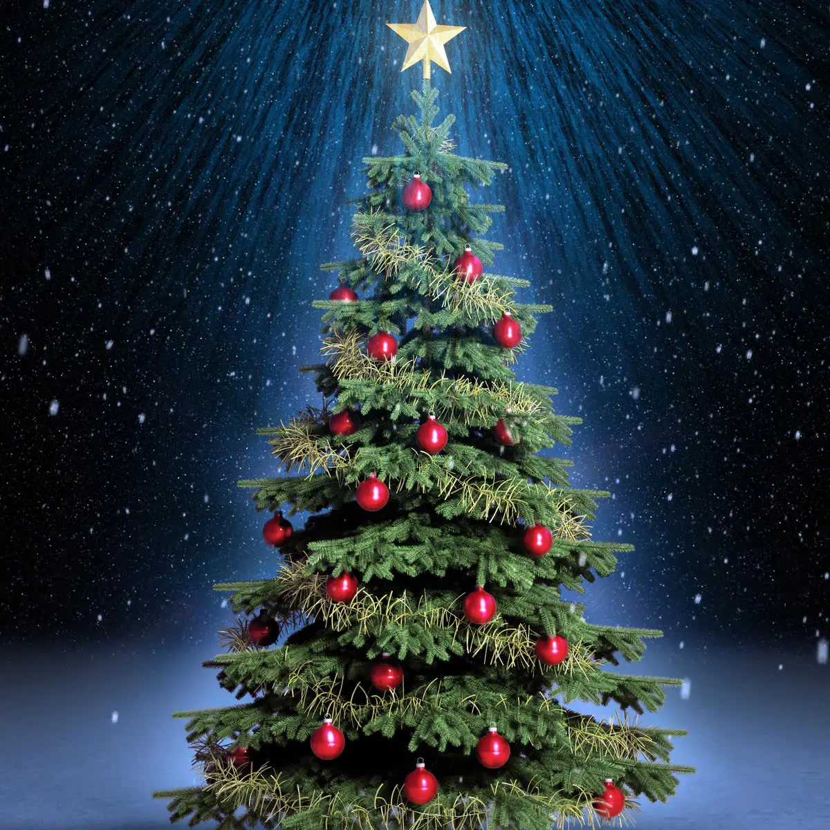 Pohon natal - Main image