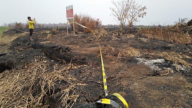 Seorang warga memotret papan segel perusahaan di lahan gambut yang mengalami kebakaran. (Liputan6.com/Gresi Plasmanto)