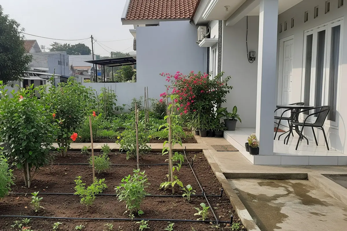 Ide Kebun Mini di Rumah dengan Sistem Irigasi Tetes
