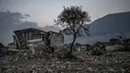 Sebuah pohon jeruk berada di samping bangunan yang rusak di Antakya, provinsi Hatay, wilayah selatan Turki pada tanggal 5 Februari 2024. (Ozan KOSE/AFP)
