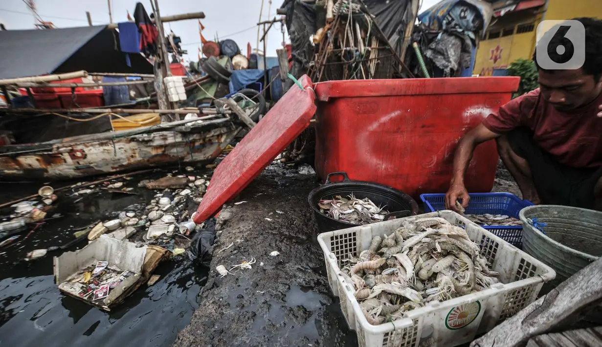 Aktivitas nelayan di Kampung Nelayan Cilincing, Jakarta Utara, Selasa (8/6/2021). Tidak hanya merusak biota, sampah yang terbawa arus laut ini juga berdampak pada kesehatan nelayan atau warga pesisir seperti mudah terserang penyakit dan gizi burukbagi anak-anak. (merdeka.com/Iqbal S. Nugroho)