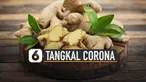 Berita tentang virus Corona saat ini menjadi viral di dunia. Indonesia mengalami rasa cemas dan takut akibat virus ini. Ini dia rempah-rempah asli Indonesia yang bisa menangkal virus Corona