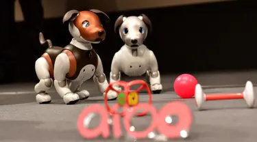 Robot versi ukuran anak anjing "Aibo" ditampilkan selama konferensi pers di Tokyo pada 23 Januari 2019. Perusahaan elektronik, Sony, memperkenalkan robot anjing yang dilengkap dengan kecerdasan buatan, kemampuan internet, dan kamera. (Kazuhiro NOGI/AFP)