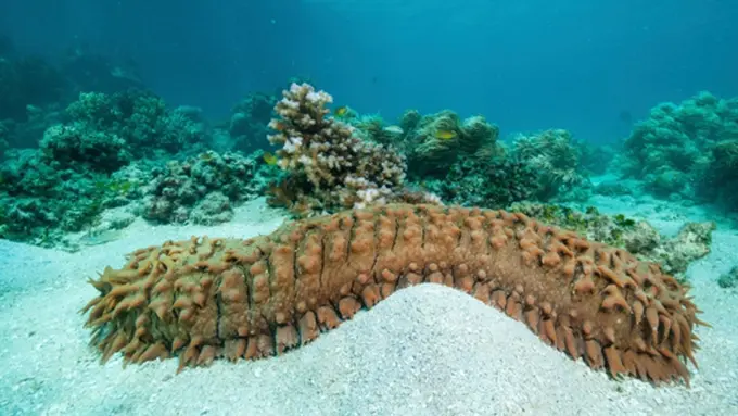 Copyright by Thinkstock.com