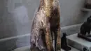 Patung kayu kucing yang ditemukan di sekitar kompleks piramida Raja Userkaf di Saqqara, Giza, Sabtu (10/11). Arkeolog Mesir menemukan 7 makam kuno zaman Firaun berisi puluhan mumi kucing dan patung-patung kayu bergambar hewan lain. (KHALED DESOUKI/AFP)
