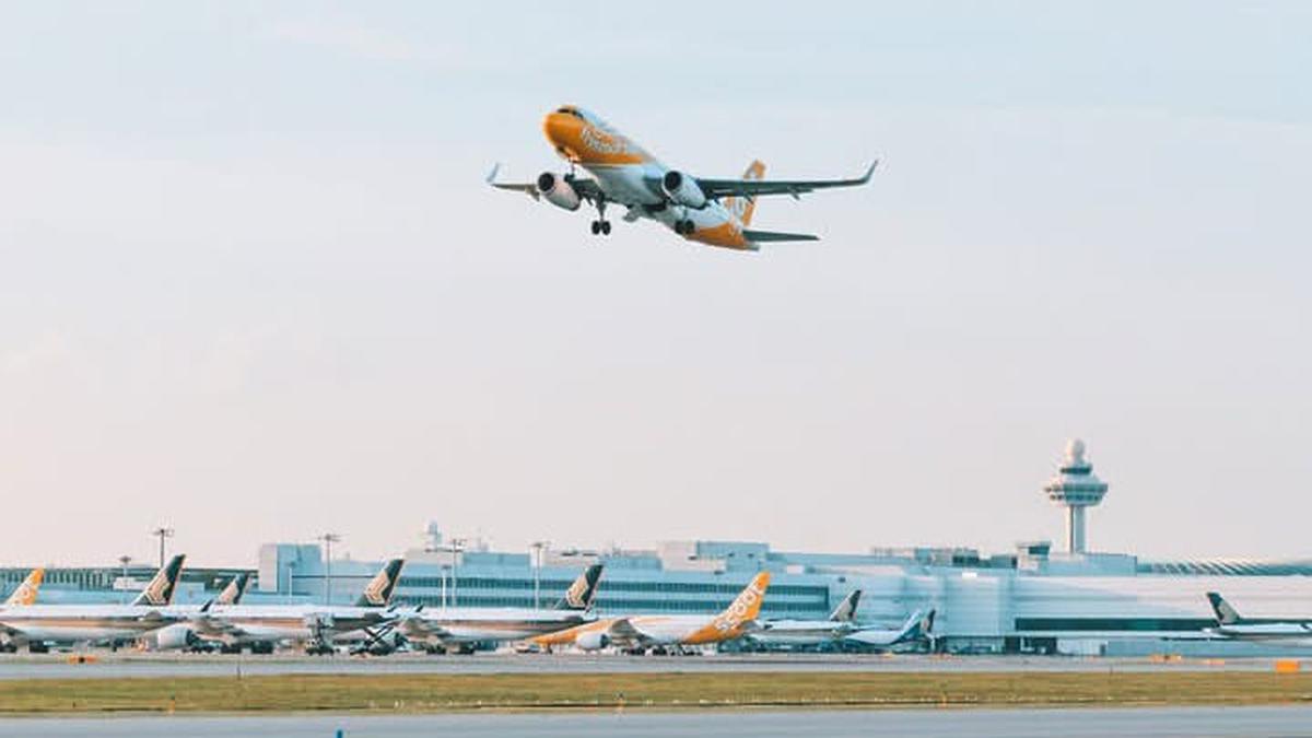 Scoot Buka Rute Penerbangan ke Belitung dan Pontianak di Tengah Gejolak Harga Bahan Bakar