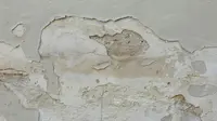 Cat vs Wallpaper untuk Dinding Berjamur, Mana Pilihan Terbaik?