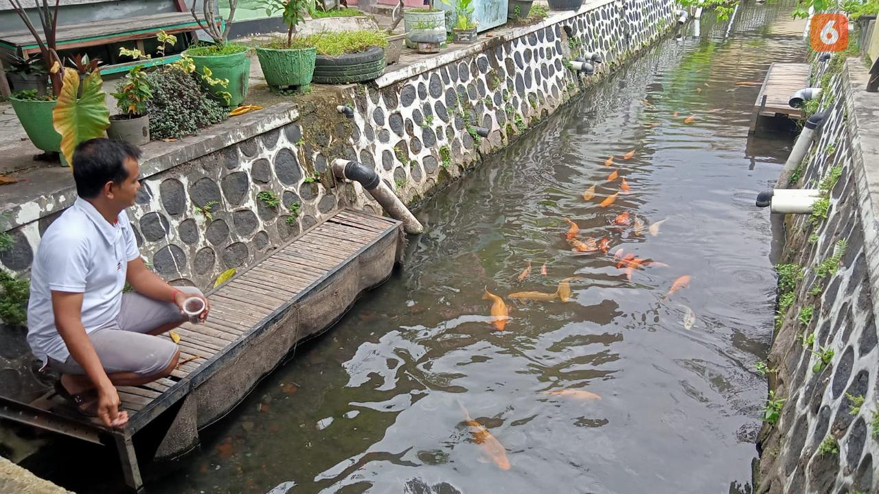 Kali Seng Banyuwangi Dulu Kumuh, Sekarang Menjadi Tempat Budidaya Ikan Air Tawar. (Hermawan Arifiantoi/Liputan6.com)