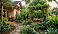 8 Inspirasi Taman Rumah dengan Nuansa Hutan Tropis, Solusi Halaman Asri dan Estetik