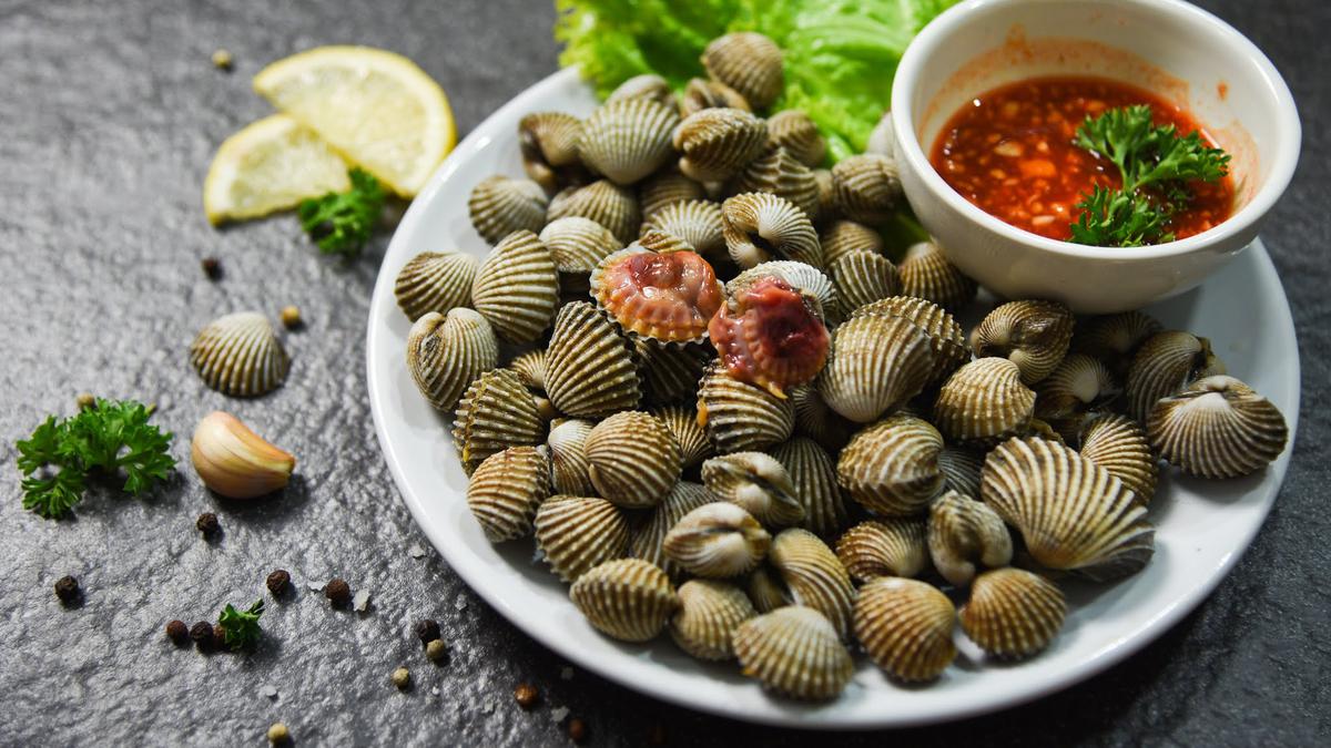 Apakah Kerang Dara Berbahaya? Berikut Penjelasannya