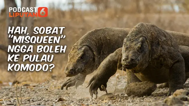 (Foto: Tim infografis Liputan6.com)
