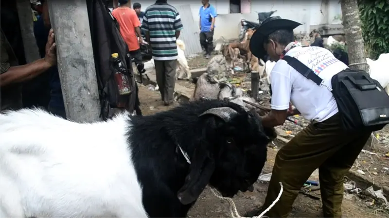 Salon kambing