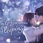 Serial drama Korea While You Were Sleeping. (Sumber: Vidio)