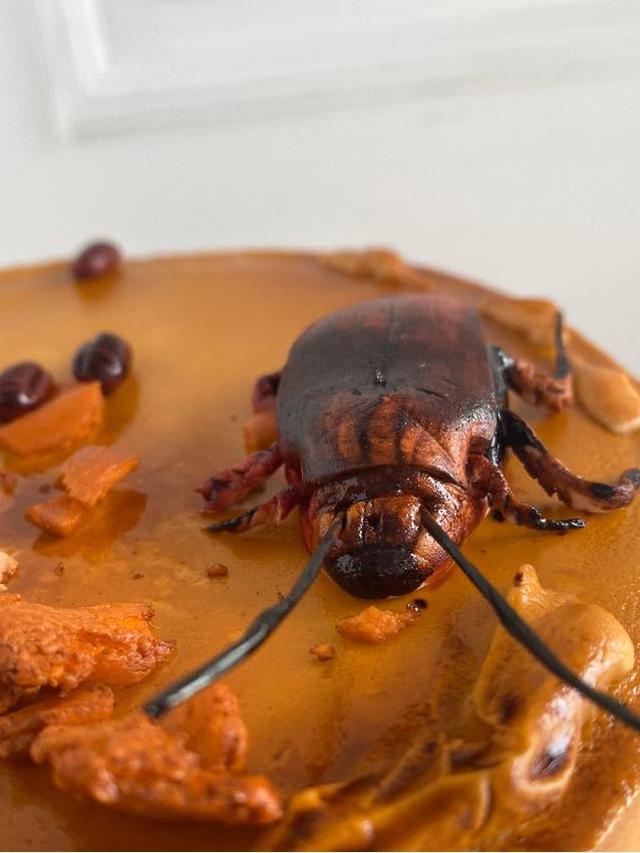 Wanita Ini Pesan Kue Kecoak Buat Ulang Tahun Suaminya, Bentuknya Bikin Geli