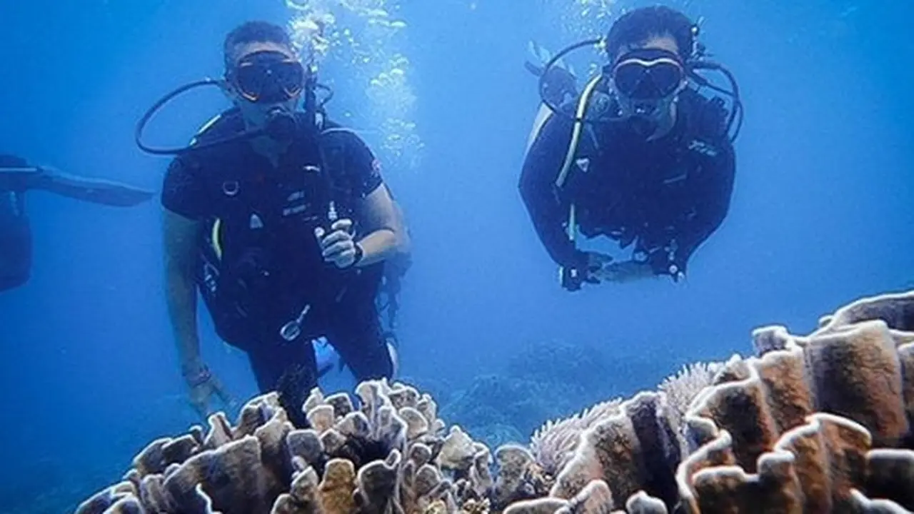 Menkes Singapura Terpesona Keindahan Bawah Laut Labuan Bajo, Menyelam Ditemani Sandiaga Uno