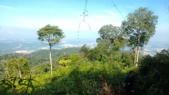 Pendakian Bukit Unyang. (Dok: Gunung Bagging https://www.gunungbagging.com/bukit-unyang/nggallery/page/2)