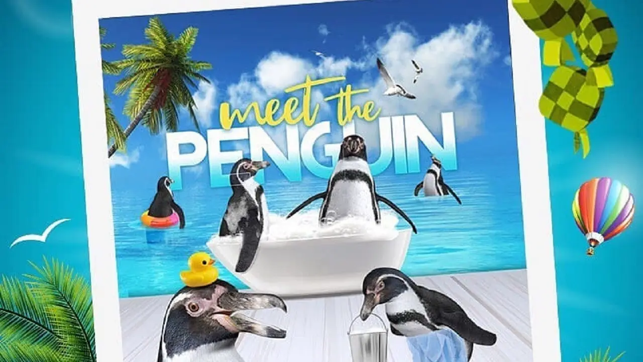 Penguin