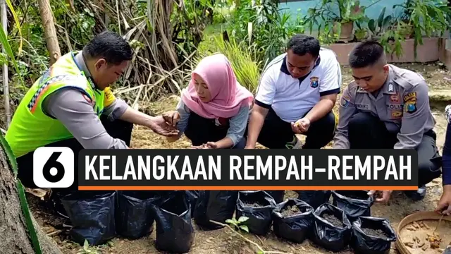 VIDEO: Polisi Bantu Pedagang Jamu Budidaya Rempah-rempah