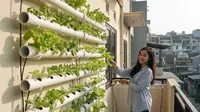 5 Cara Berkebun di Lingkungan Perkotaan dengan Lahan Terbatas