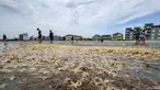 Orang-orang bermain dengan bintang laut yang terdampar di Garden City Beach, South Carolina, Amerika Serikat, Senin (29/6/2020). Kehadiran ribuan bintang laut yang terdampar menyita perhatian warga serta wisatawan untuk mengembalikan mereka ke laut. (Jason Lee/The Sun News via AP)