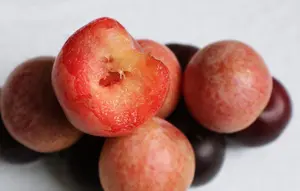 3 Pohon Buah Berbiji yang Relatif Mudah Dibudidayakan di Rumah