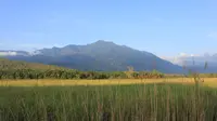 Pemandangan Pegunungan Cycloop di Papua. (Dok: Gunung Bagging&nbsp;https://www.gunungbagging.com/cyclops/)